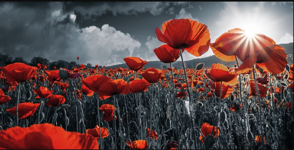 Remembrance Sunday Service 